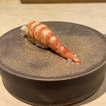 鮨白 - 熊本の車海老