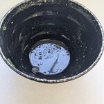 須崎食料品店 - 