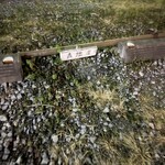 高地屋 - 第二駐車場の輪止め