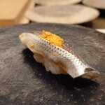 鮨 なんば - 小肌 36℃/19℃