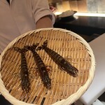 天ぷら 銀座おのでら - 