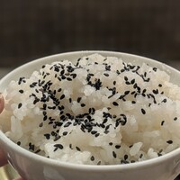 みやび 六本木店 - 