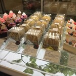 カズノリ イケダ アンディヴィデュエル 南町通店 - 