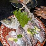 海鮮問屋 ふじ丸 - 鯵の握り4貫…¥100