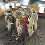 大瀬観光やな - 