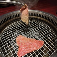 銀座焼肉 seigou - 