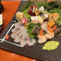 魚竹 - 
