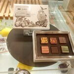 メゾン シーラカンス - 