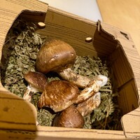 肉割烹ふたご 北新地店 - 