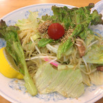 ぎょうざの満洲 - サラダ麺 530円