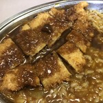 ニューライト - 