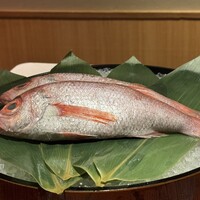 泉岳寺門前 紋屋 - 