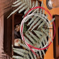 銀座 くらはし hanare -  銀座 くらはし hanare -