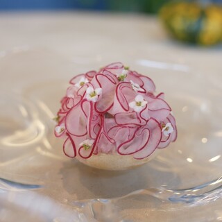 ノノカ レストラン - メイン写真: