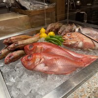 金目のどぐろ屋 赤羽店 - 