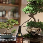 DINING MASHIRA - 
