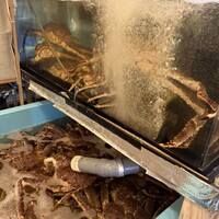 活カニの花咲 - 