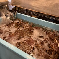 活カニの花咲 - 