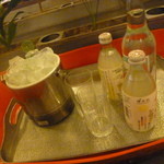 ひな鳥山 - 氷だって流れていく安定感