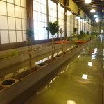 ひな鳥山 - 川辺で食事をいただけます