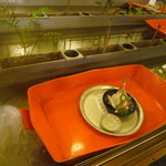 ひな鳥山 - ④無事、着岸となるのです。