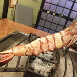 ひな鳥山 - 見てください！このでっかいエビ！