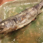 ひな鳥山 - 川魚の代名詞「やまめ」