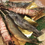 ひな鳥山 - 川の幸、海の幸！