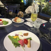 BISTRO FAVORI 代官山 - 