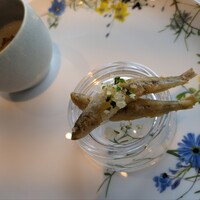 THE GARDEN SAPPORO HOKKAIDO GRILLE - 