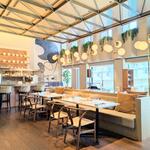 gicca - 