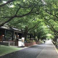 キハチ 青山本店 - 