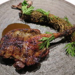 フロリレージュ - 鳩