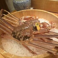 かにじぇんぬ 北新地 - 