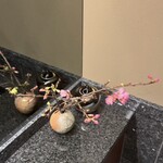 赤坂 島袋 - 島袋大将が子供の頃、自宅に植えた寒緋桜