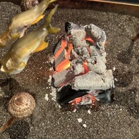 料亭 長坂 - 