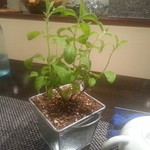 レストラン バカール - 