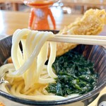 讃岐うどん　おおまえ - 表面は滑らかな感じなのに
簡単に吸いつかせない硬さのある麺