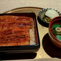 うなぎ 目白ぞろ芽 - 