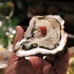 ボラーチョ - 