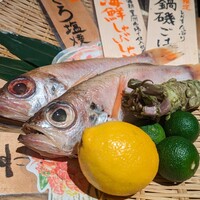 魚の中俣 銀座 - 本日の食材たち