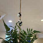 ヤマ コーヒー - 