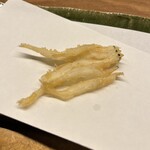 北新地 天ぷら 拾幸 - 