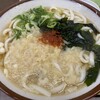 豊吉うどん 橘通店