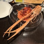 やまぐち - 赤座海老　フルーツトマト　カッペリーニ　カラスミ