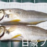 Vivonne Bay General Store - 