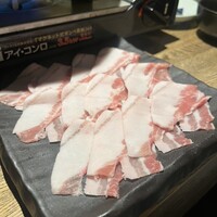 水魚 -  水魚 -