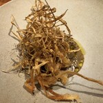 ル スプートニク - 2025/1/11