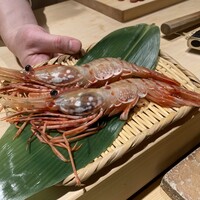 鮨 江藤 - 