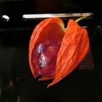 TJK箱根の森 - 2014' 6/12 八寸（鬼灯に山桃ワイン寄せ）